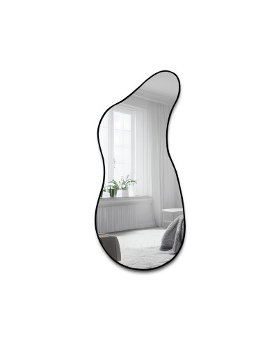 Lustro o organicznym kształcie w...