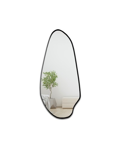 Lustro o nieregularnym kształcie w... Lustro o nieregularnym kształcie w...