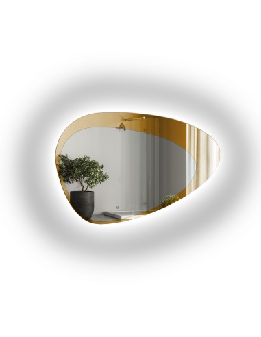 Lustro o organicznym kształcie z...