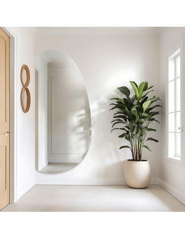 Lustro o organicznym kształcie –...