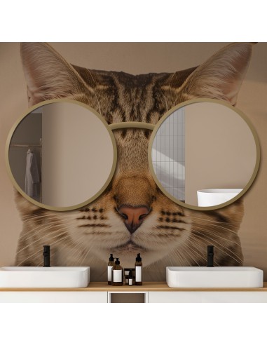 Zestaw luster okrągłych kot w okularach mdf - OKULARY
